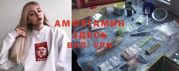 твердый Алексеевка