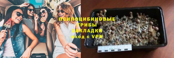 молекула духа Алексин